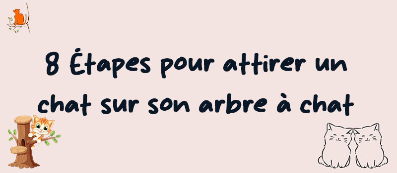 attirer un chat sur son arbre à chat