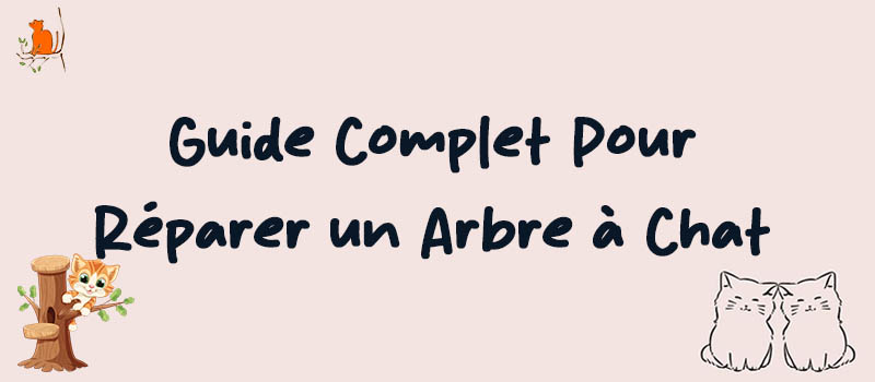 Comment Réparer un Arbre à Chat