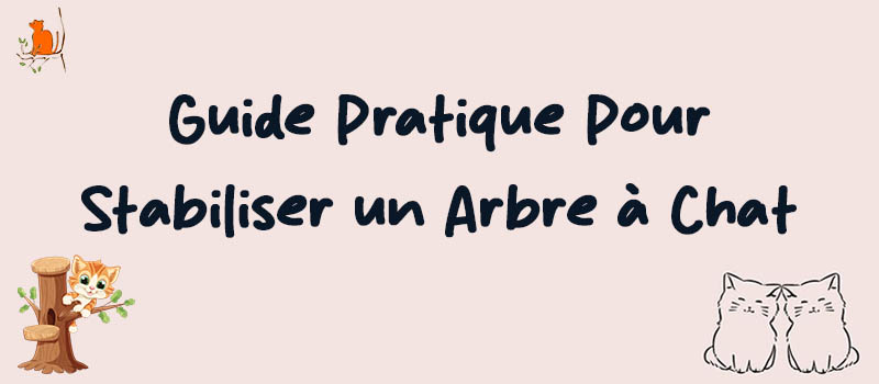 Comment Stabiliser un Arbre à Chat