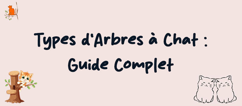 Types d'Arbres à Chat