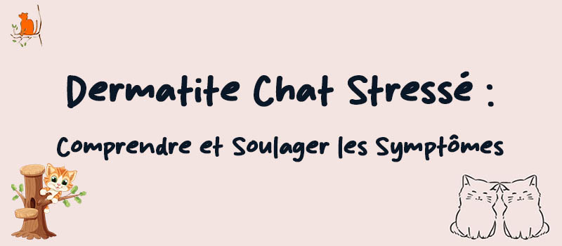 Dermatite Chat Stressé Comprendre et Soulager les Symptômes